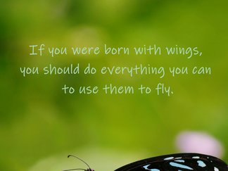 Saying about being born with wings